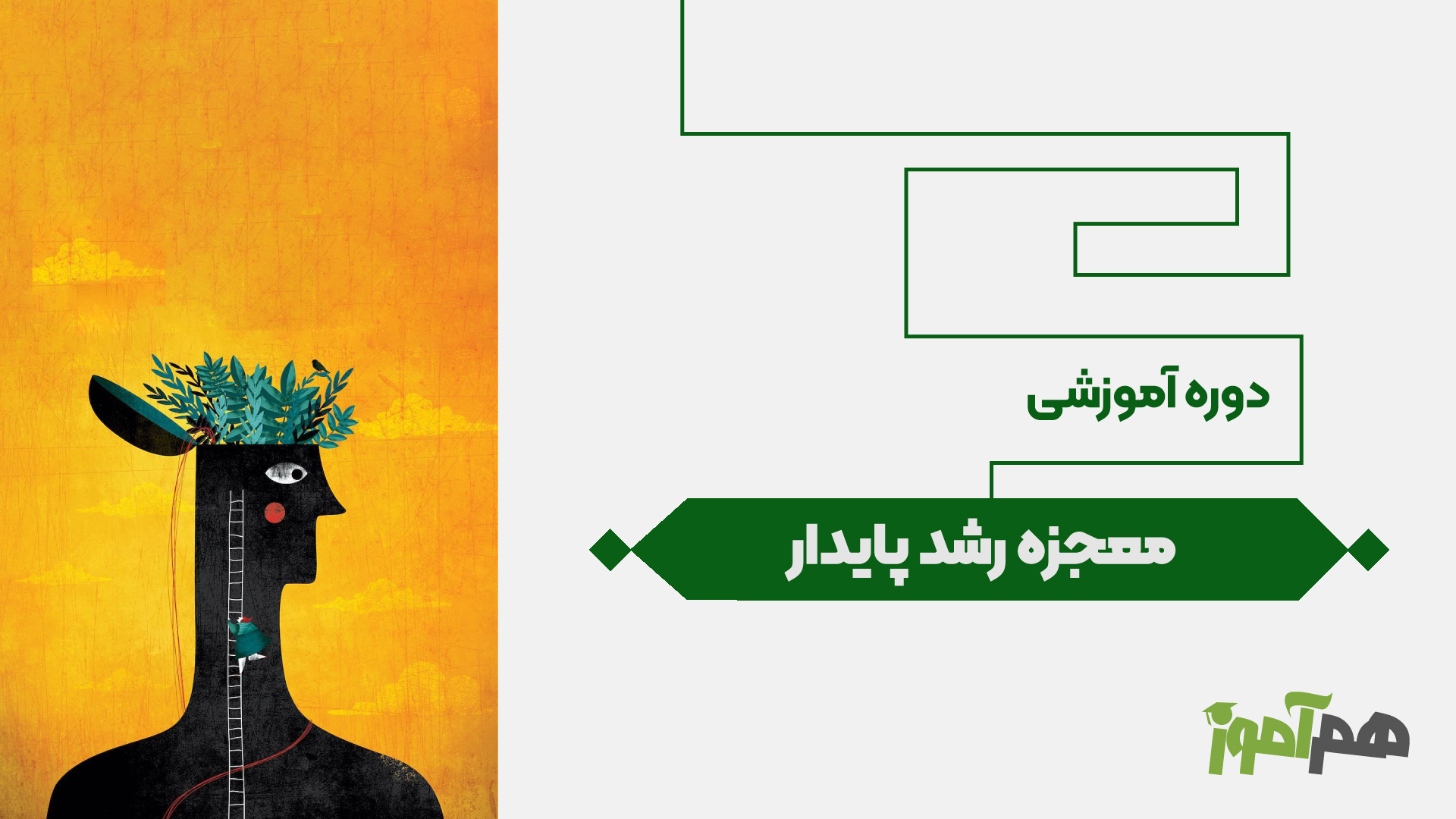 معجزه رشد پایدار