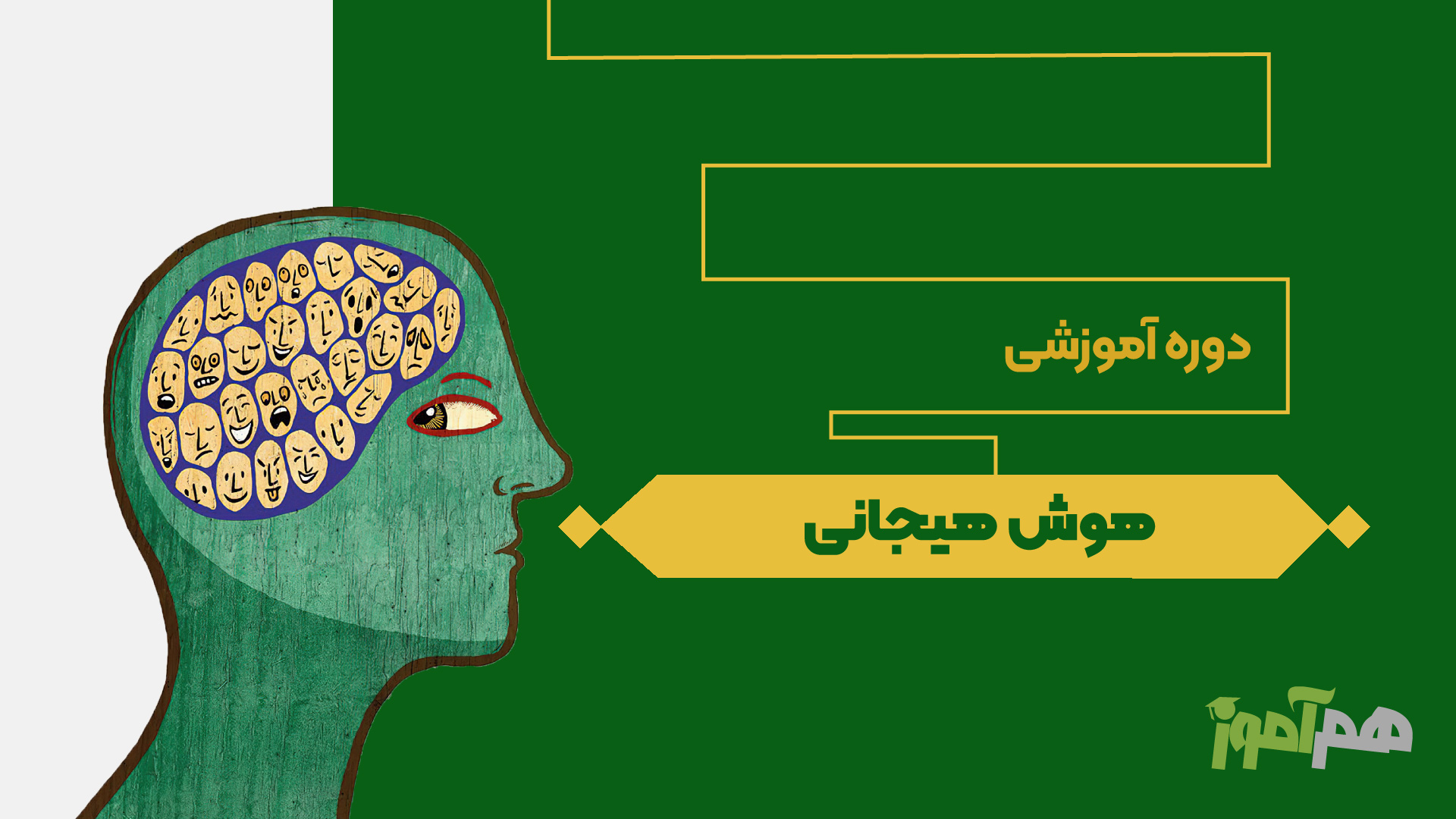 هوش هیجانی