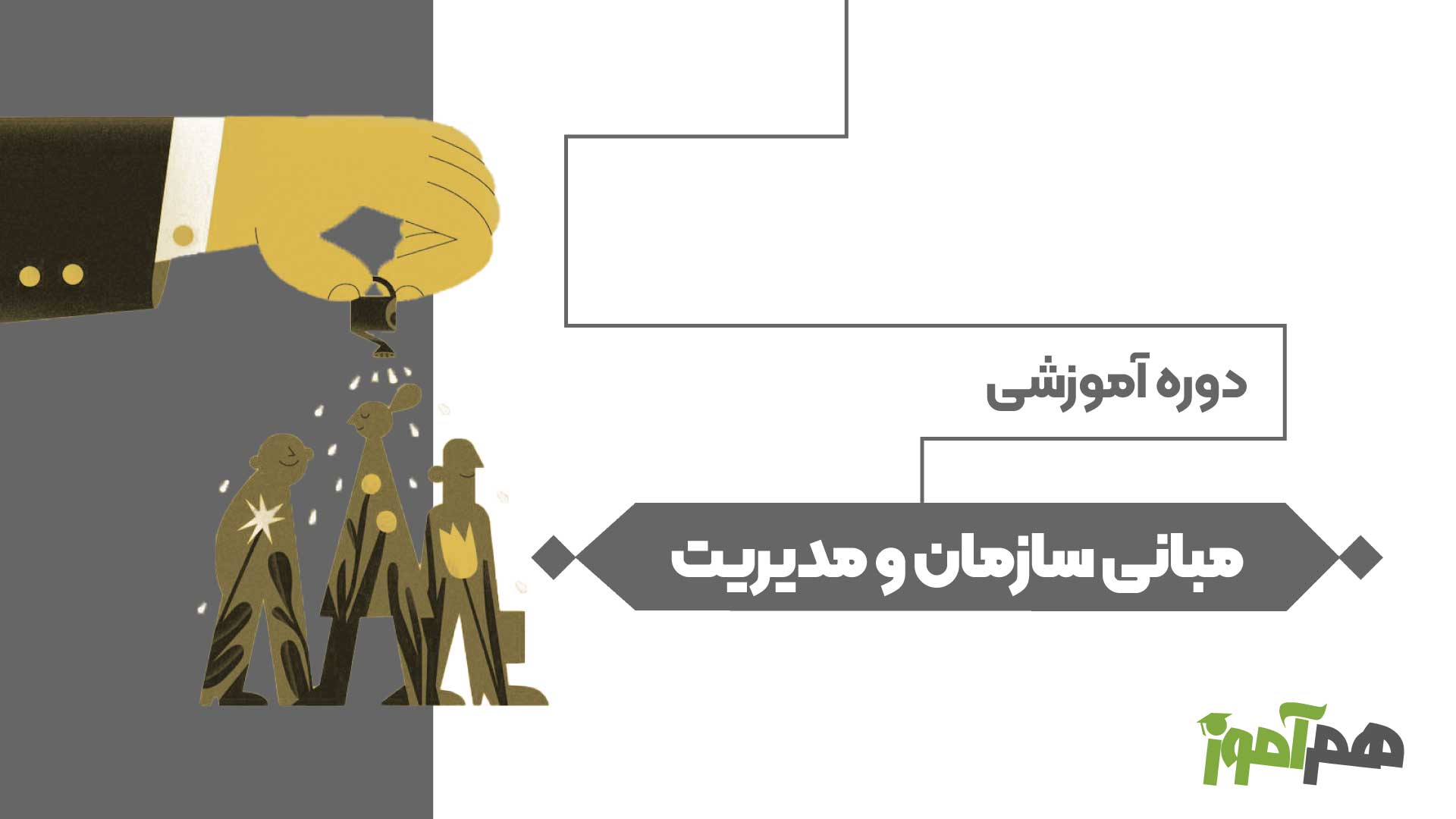 مبانی سازمان و مدیریت